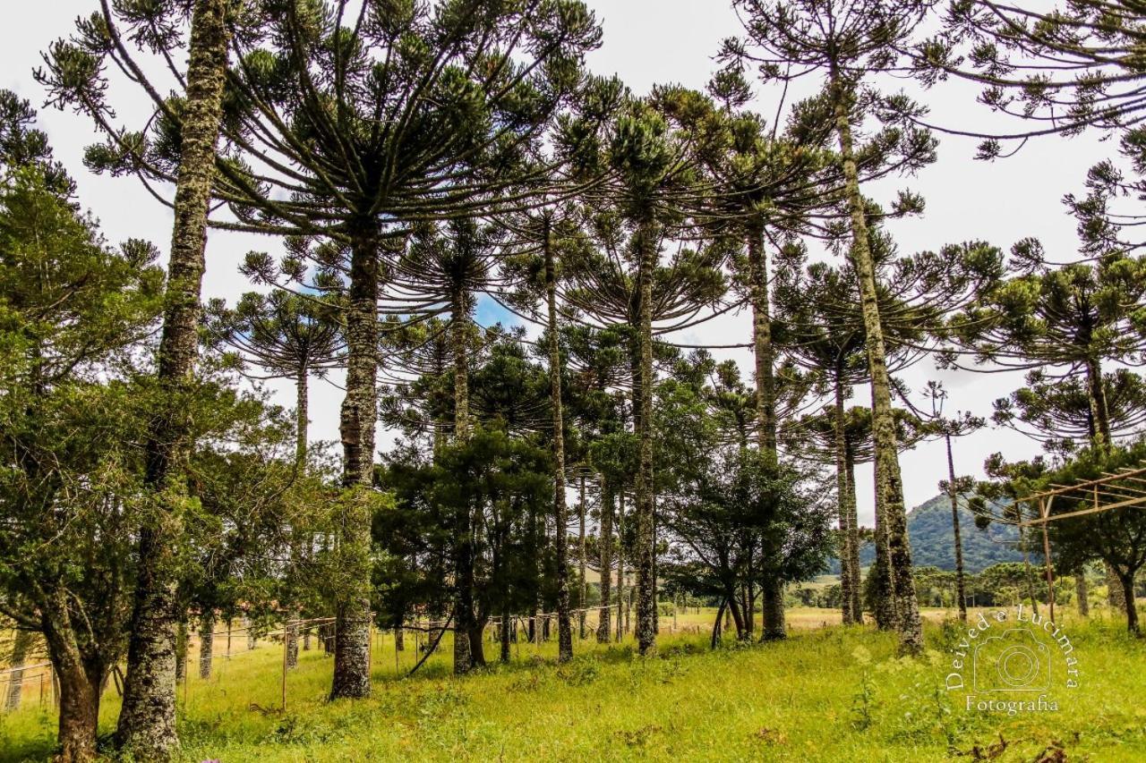 Refugio Do Lago ラジェス エクステリア 写真
